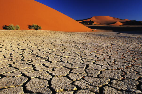 Dry Earth_Sossusvlei_Namibia