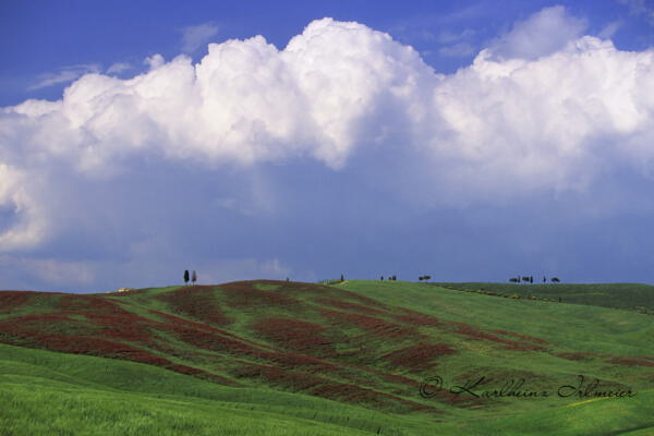 Hügelige Landschaft mit grünem Feld, Toskana
