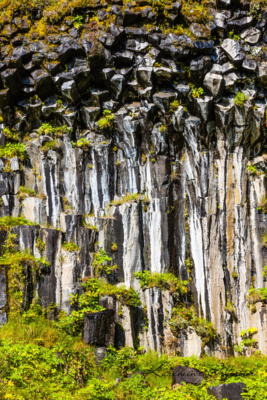 Basaltsäulen am Svartifoss, Skaftafell Nationalpark, Sunderland, Südisland, Island