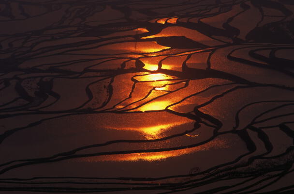 Rice Terrace_Yuanyang_China