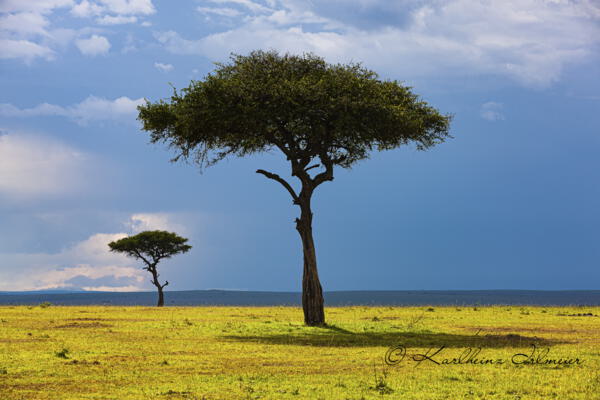 Kenia-Tanzania-Zanzibar