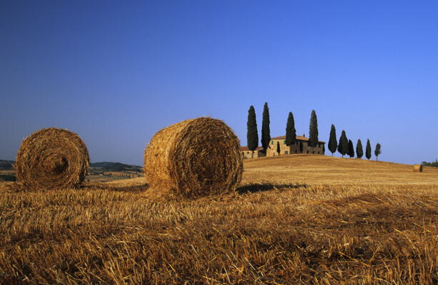 Farmhouse_Tuscany_Italy